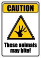 Dangerous Animals design
