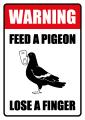 Feed a Pigeon design