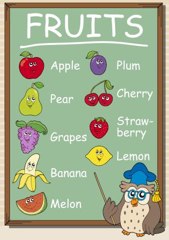 Fruits poster template