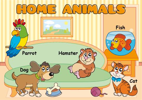 Home Animals poster template