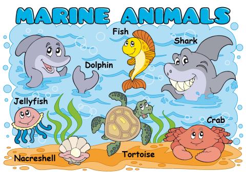 Marine Animals poster template