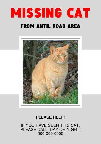 Missing Cat poster template