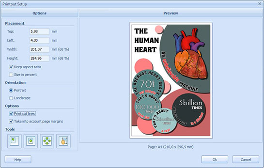 Printout Setup Dialog Box