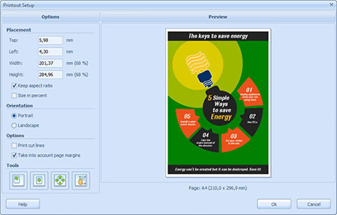 Printout Setup Dialog Box