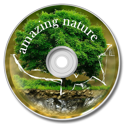 Nature CD label design