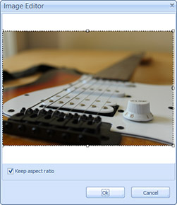 The Image Editor dialog box