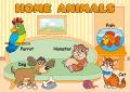 Home Animals design