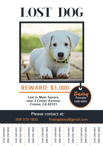 Missing Dog poster template