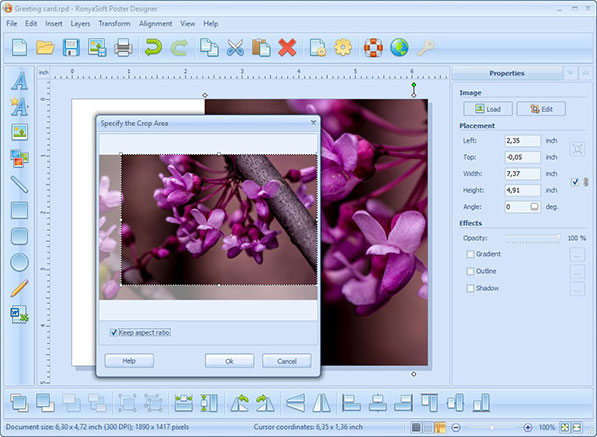 The Image Properties Window